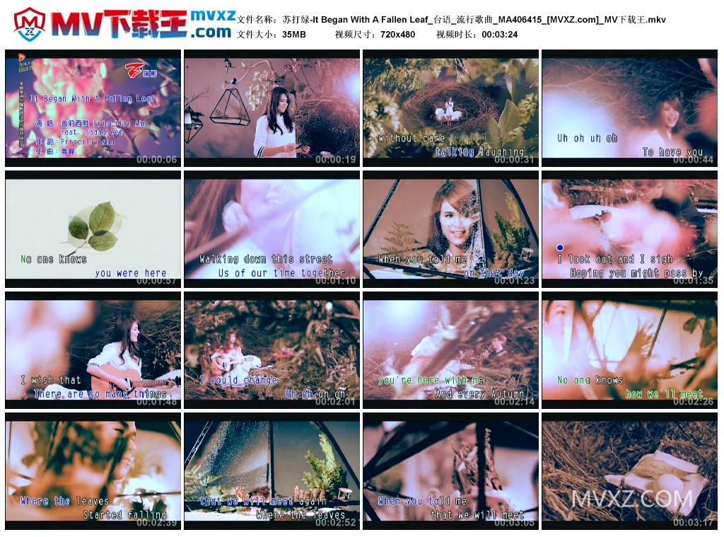 苏打绿-It Began With A Fallen Leaf_台语_流行歌曲_MA406415